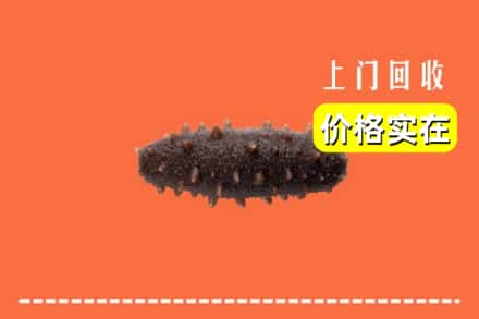 收购资讯:宝山区回收海参